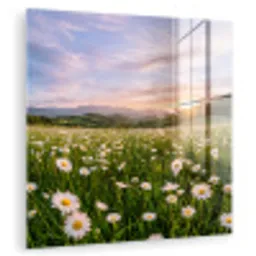 Madelief - Veld - Heuvels - Groen plexiglas 5mm klein -zzzproduct_nieuw