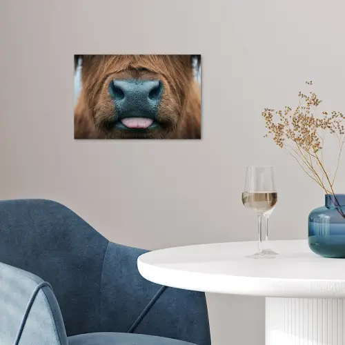 Schotse hooglander - Neus - Bruin poster papier klein -sfeer3
