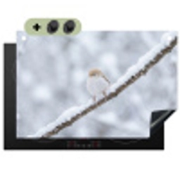 Vogeltje - Sneeuw - Tak - Winter - Zacht Inductie beschemer met haakjes klein -3d