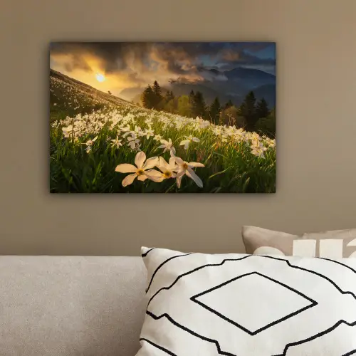 Bloemenveld - Heuvels - Zonsondergang - Berg - Natuur - Wit - Heuvels canvas 2cm klein -sfeer3