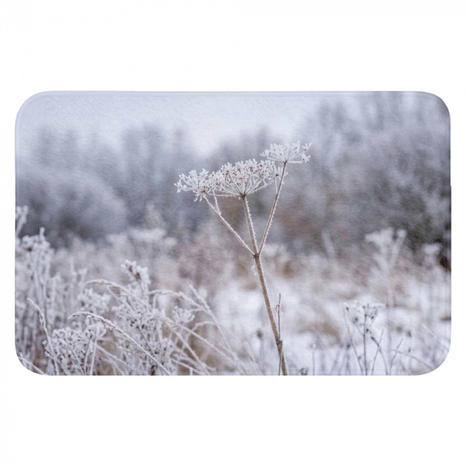 Schermbloem - Rijp - Kristallen - Winter - Delicaat Badmat klein -3d