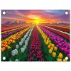 Tulpenveld - Zonsondergang - Kleurrijk tuinposter los doek klein -3d