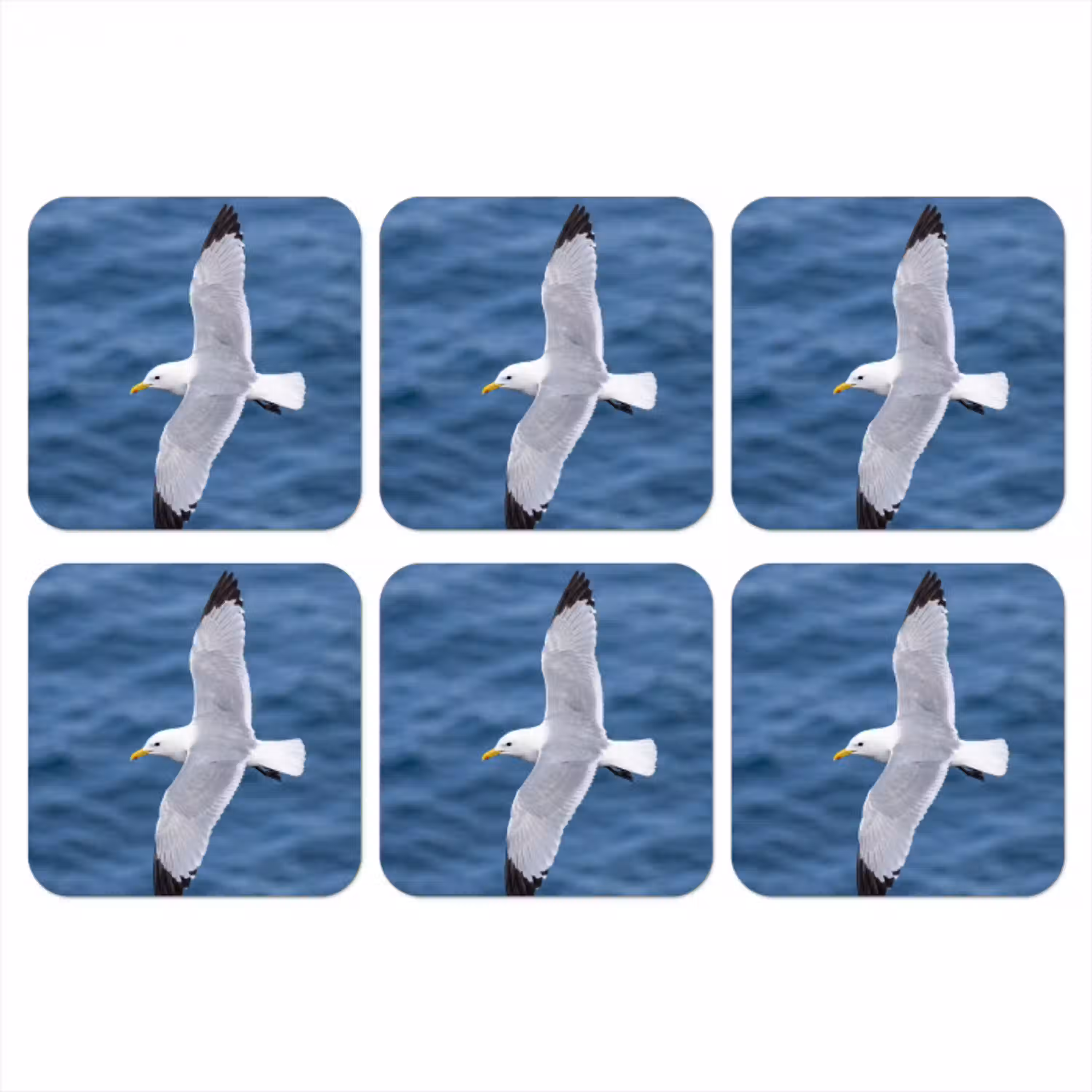Zeemeeuw - Oceaan - Blauw onderzetter kurk middel -3d