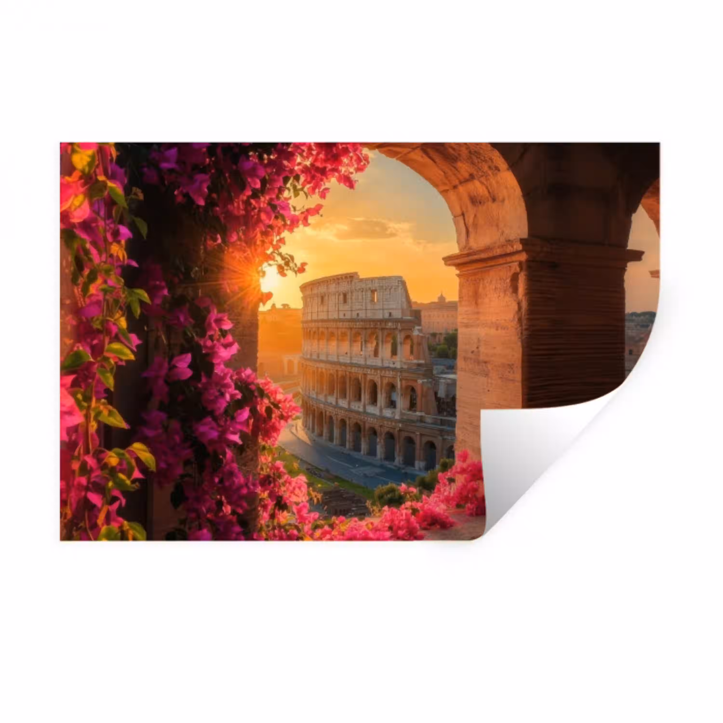 Colosseum - Rome - Roze Bloemen Muursticker klein -3d