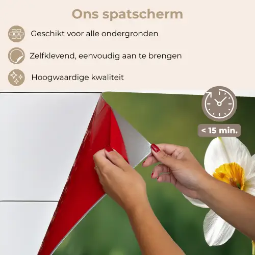 Narcis - Bloem - Wit - Grassprieten keuken achterwand spatscherm klein -spatscherm_NL