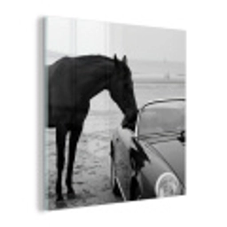 Paard - Auto - Zwart - Wit plexiglas 5mm klein -z3d