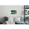 Palmblad - Tropisch - Natuur - Jungle Muursticker klein -slaapkamer