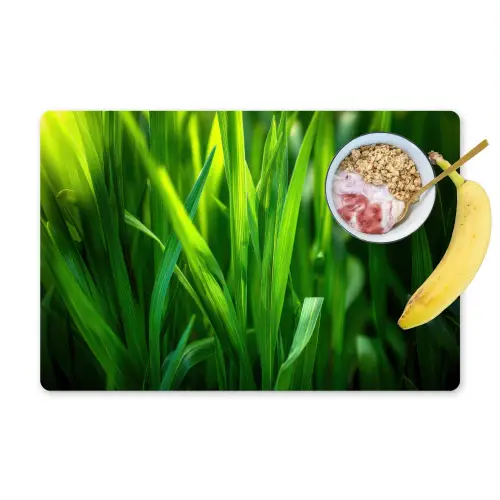 Grassprieten - Lichtinval - Groen Placemat vinyl groot -zzzproduct_Kitchenyeah-website