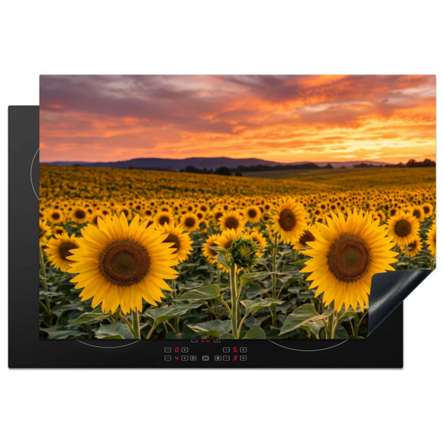 Zonnebloemen - Heuvellandschap - Geel Inductie beschermer vinyl 3mm klein -3d