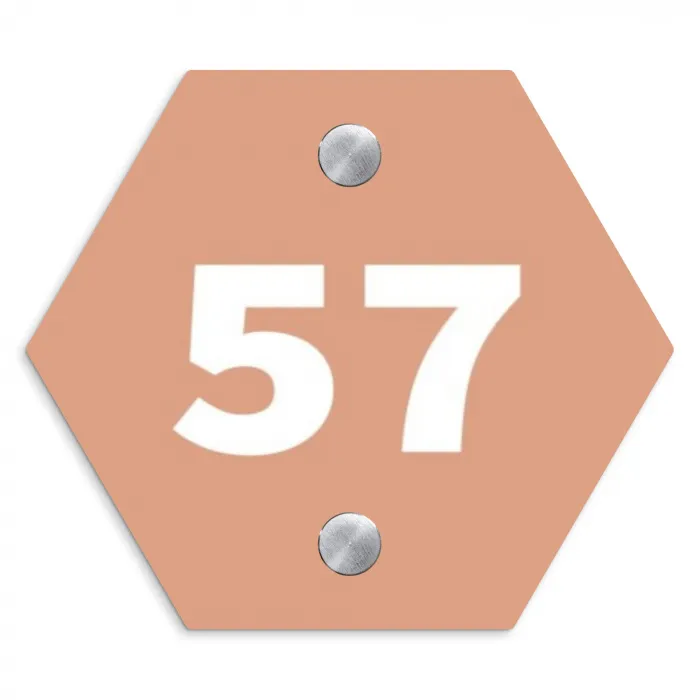 Zalmroze - Traditioneel Naambord Hexagon klein -3d