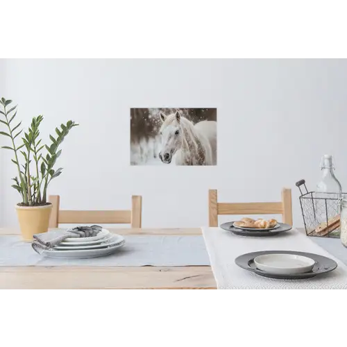 Paard - Wit - Winter - Natuur - Sneeuw - Dieren Muursticker klein -eettafel