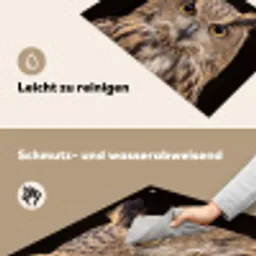 Oehoe - Uil - Portret - Bruin Inductie beschemer met haakjes klein -ky-schoon-de
