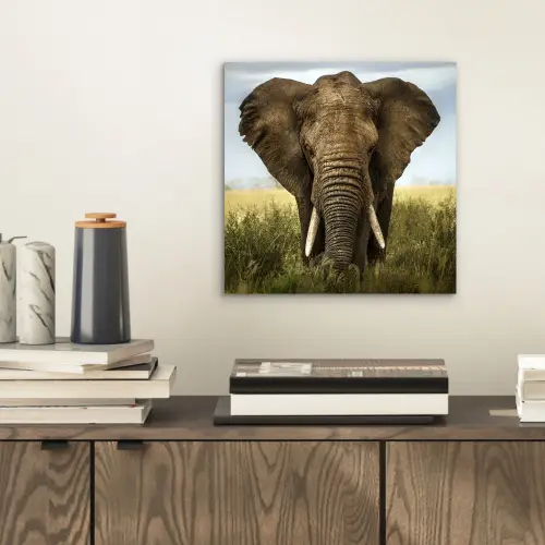 Olifant - Natuur - Gras - Dieren - Landschap aluminium wit klein -sfeer1