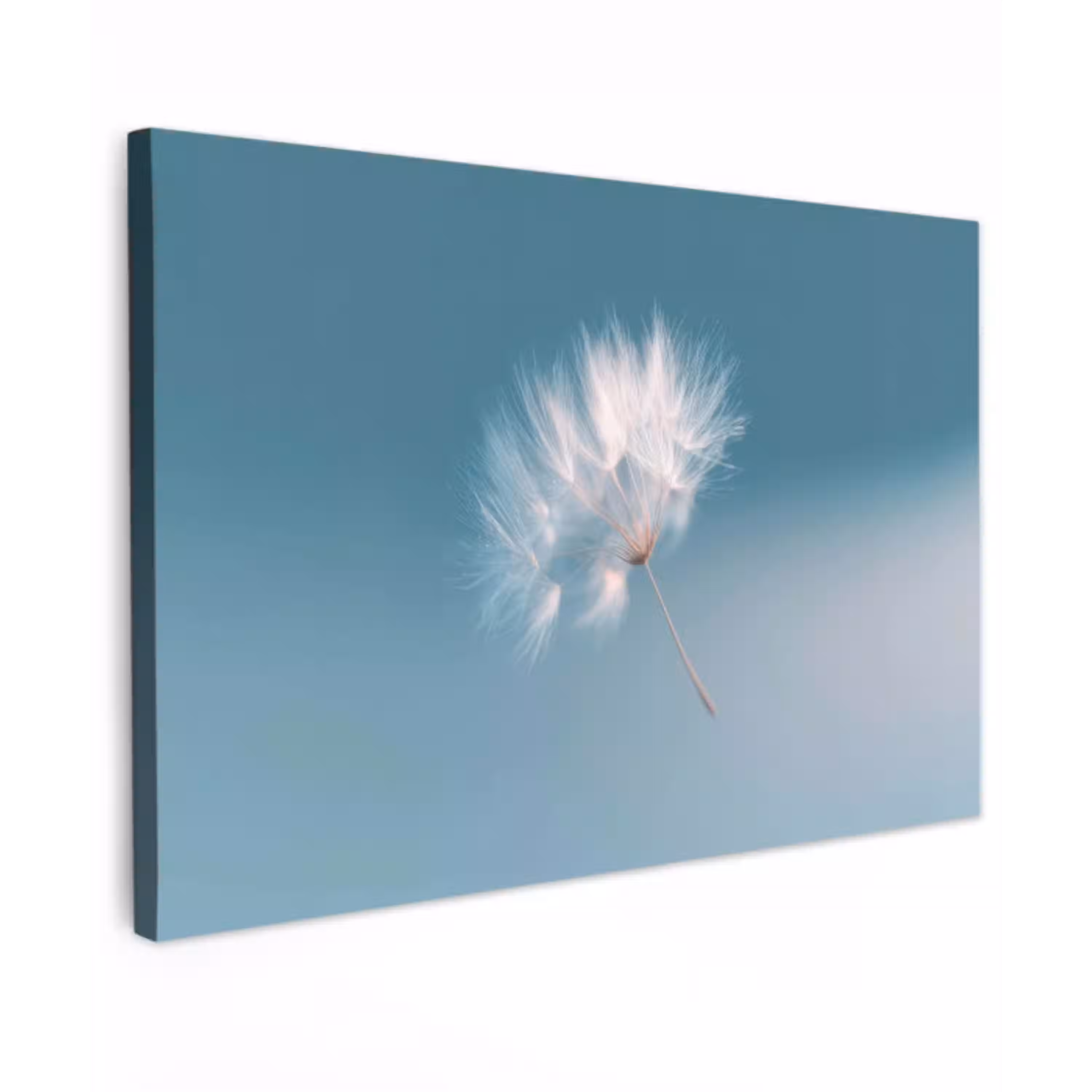 Paardenbloempluisje - Blauw - Lucht canvas 2cm klein -z3d