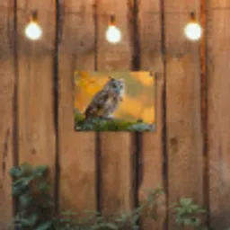 Bosuil op Mosbegroeide Tak tuinposter los doek klein -sfeer1