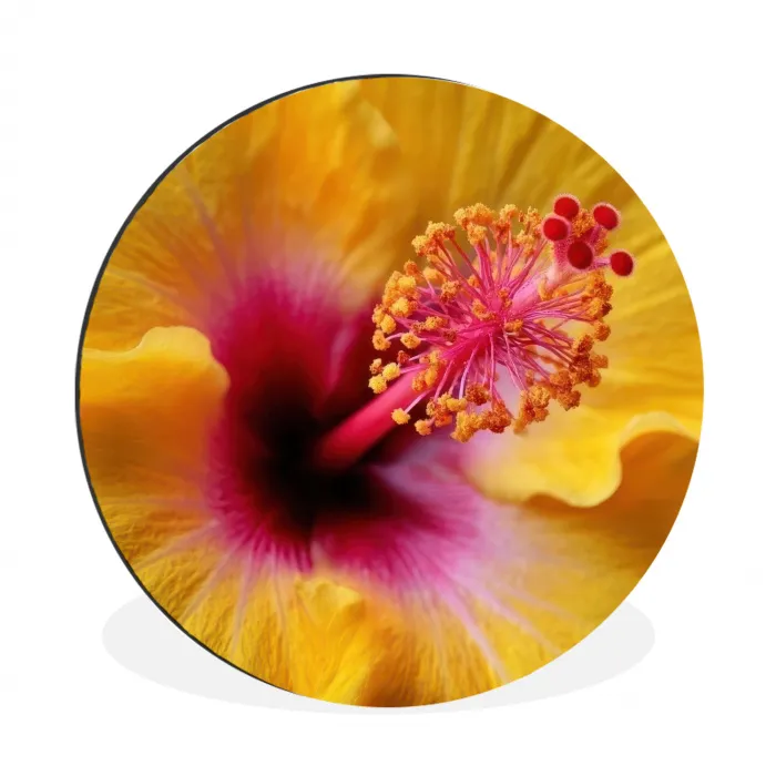 Geel - Hibiscus - Tropisch Wandcirkel aluminium klein -3d