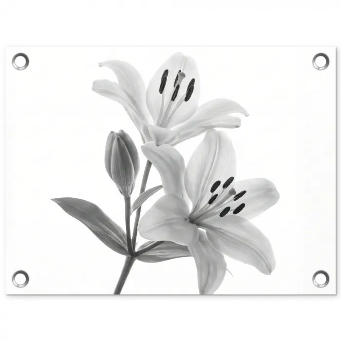 Lelies - Elegant - Zwart - Wit tuinposter los doek klein -3d