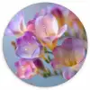 Bloemen - Paars - Overloop - Meeldraden Wandcirkel kunststof plaat 5mm dik klein -3d