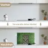 Panter - Zebrapatroon - Groen keuken achterwand spatscherm klein -voor_na_DE
