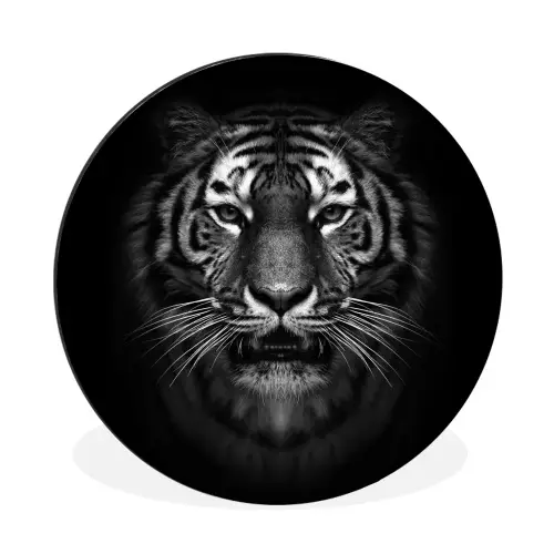 Tijger - Dieren - Zwart - Wit - Portret - Wild Wandcirkel aluminium klein -3d