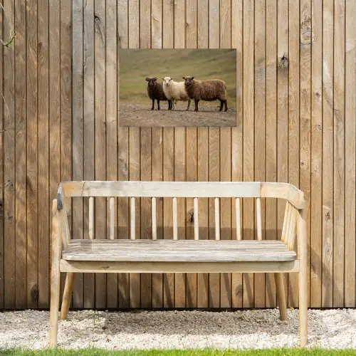 Schapen - Bruin - Wit - Grindpad Tuinposter op houten frame 2 cm dik klein -sfeer4