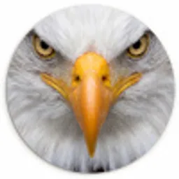 Amerikaans - Zeearend - Portret - Geel Wandcirkel kunststof plaat 5mm dik klein -3d