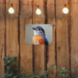 Kleurrijk - Vogeltje - Veren - Blauw tuinposter los doek klein -sfeer1