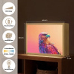 Arend - Vogel - Kleurrijk - Dier Light Box met batterij (Wandlamp kind) middel -USP_websiteoverzichtDE