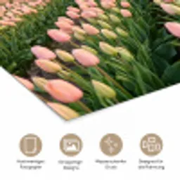 Tulpen - Landschap - Roze poster papier klein -tcloseup_DE