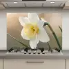 Narcis - Bloem - Minimalistisch keuken achterwand spatscherm klein -3d_website