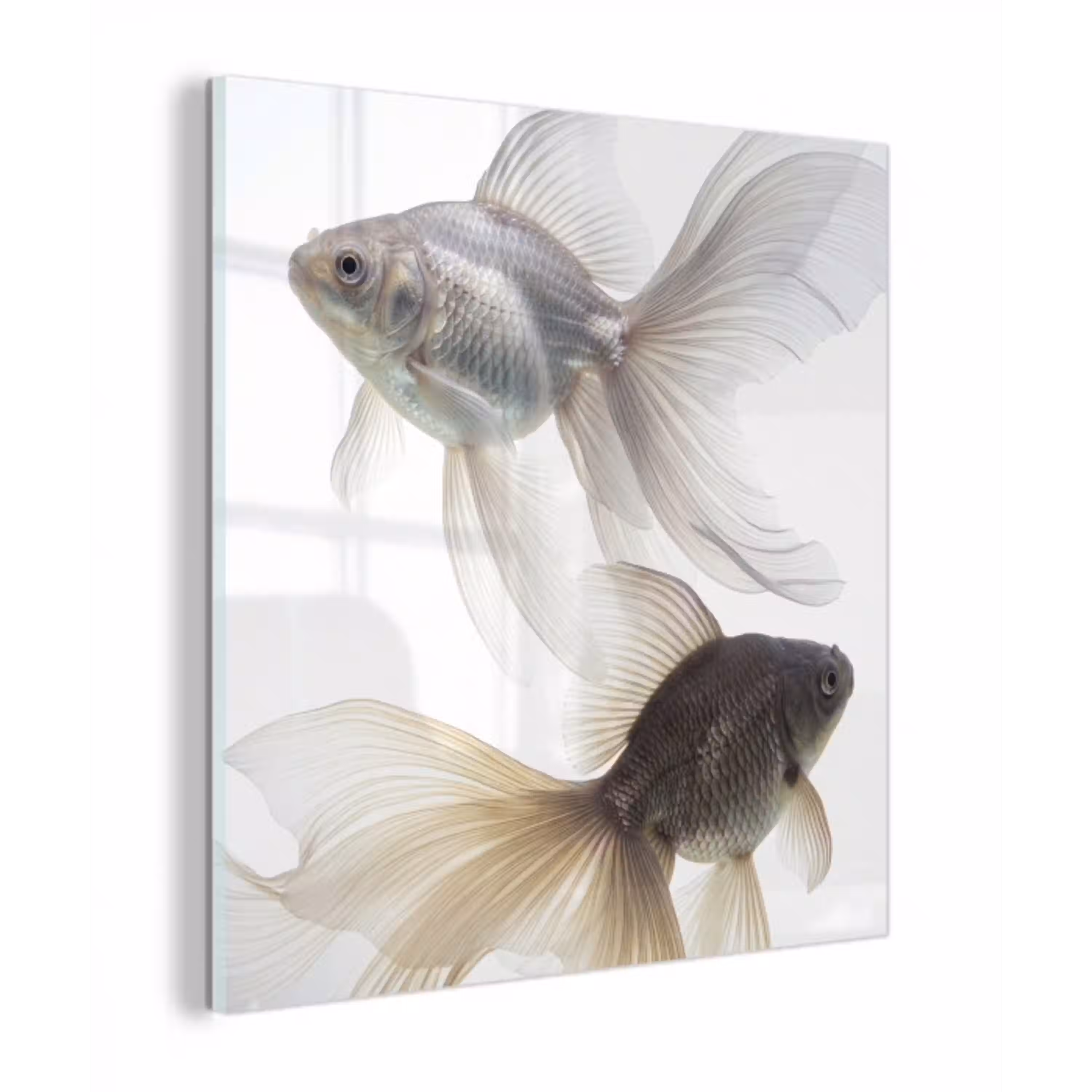 Goudvissen - Modern - Wit plexiglas 5mm klein -z3d