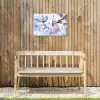Bloemen - Sakura - Tak - Bloesem takken Tuinposter op houten frame 2 cm dik klein -sfeer4