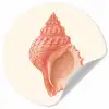 Schelp - Roze - Structuur Wandcirkel behangsticker klein -3d