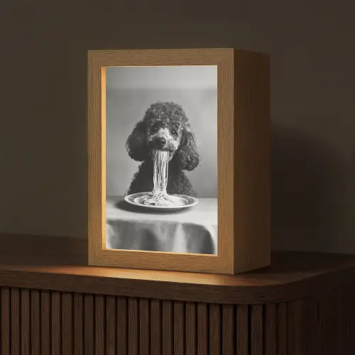 Poedel - Hond - Zwart - Wit - Schattig - Pasta Light Box met kabel (Tafellamp) klein -z3d_website