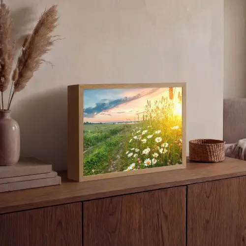 Bloemen - Madelief - Natuur - Zon - Horizon Light Box met batterij (Wandlamp) middel -sfeer2