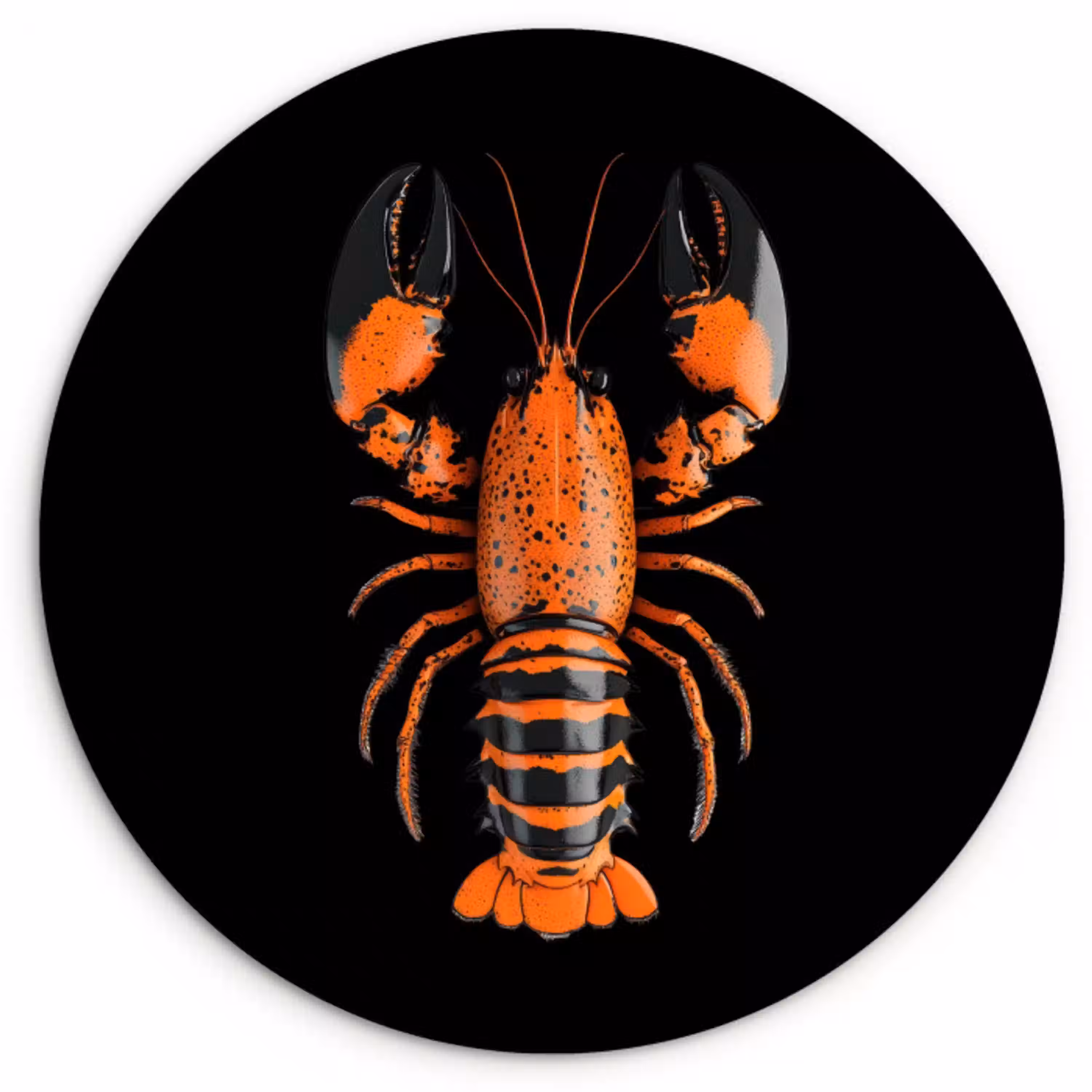 Kreeft - Oranje - Zwart - Modern Wandcirkel plexiglas klein -3d
