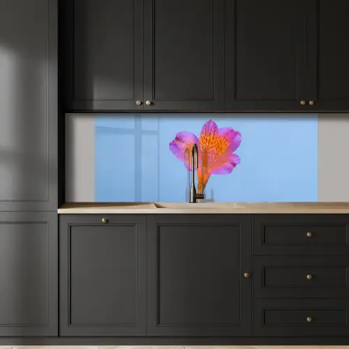Bloem - Detail - Kleurrijk keuken achterwand 2 middel -sfeer1