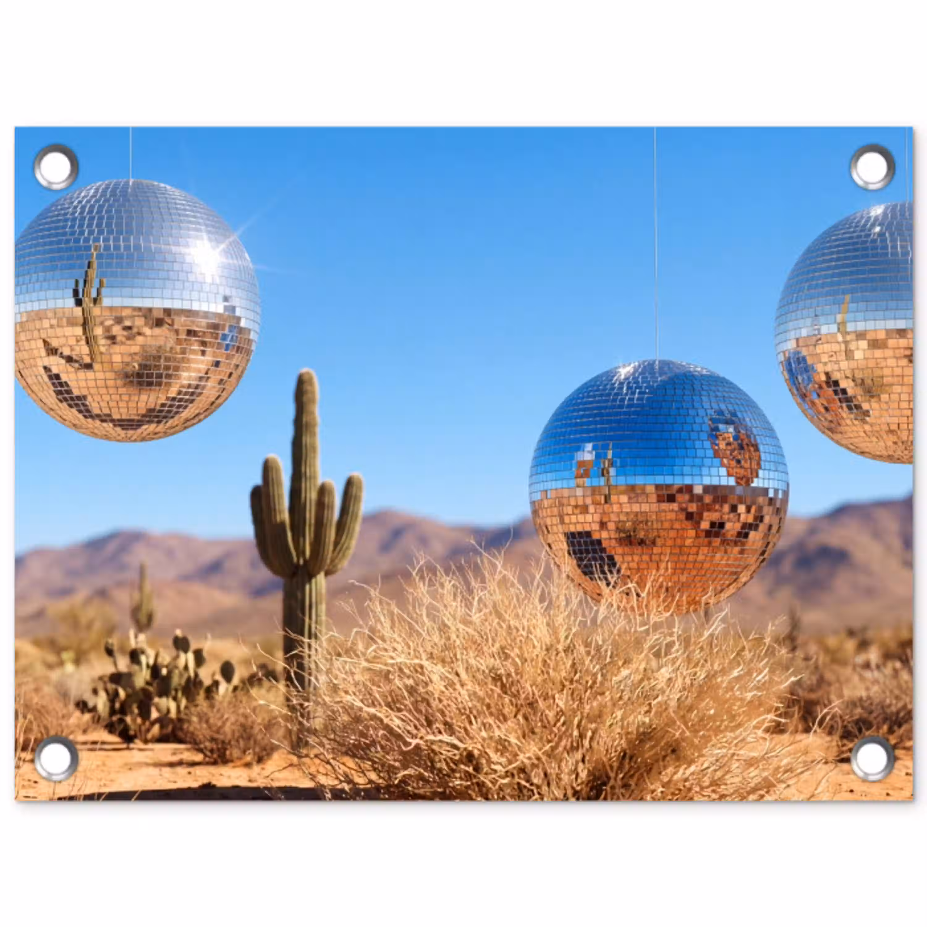 Woestijn - Spiegelbal - Kunst tuinposter los doek klein -3d