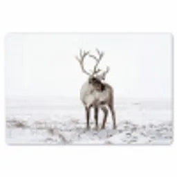 Rendier - Gewei - Sneeuw - Winter Placemat vinyl groot -zzsfeer1_Kitchenyeah-website