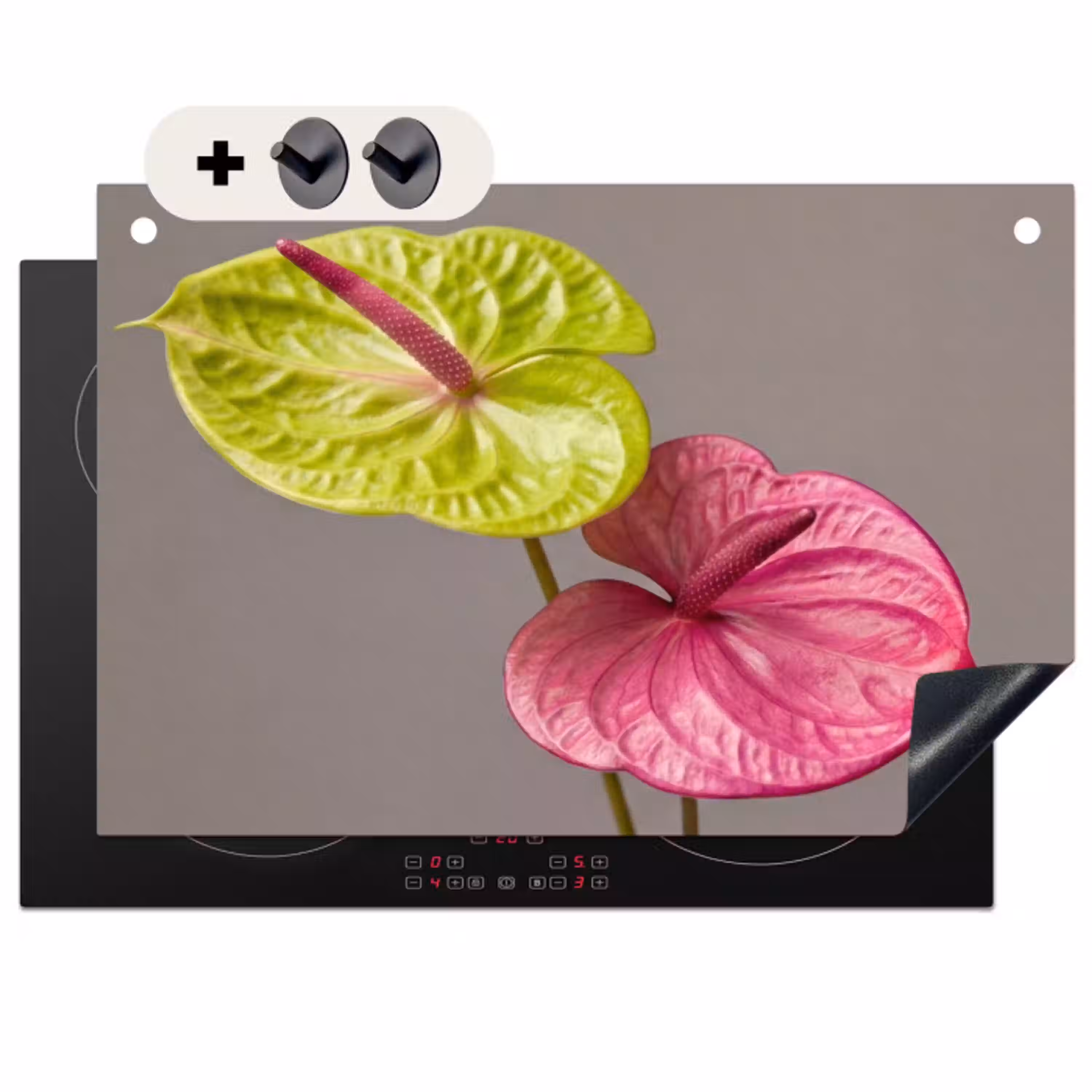 Planten - Anthurium - Groen - Roze Inductie beschemer met haakjes klein -3d