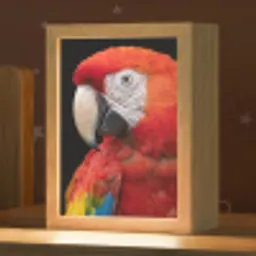 Ara - Portret - Rood Light Box met kabel (Kinderlampje) klein -zzz_3d_website
