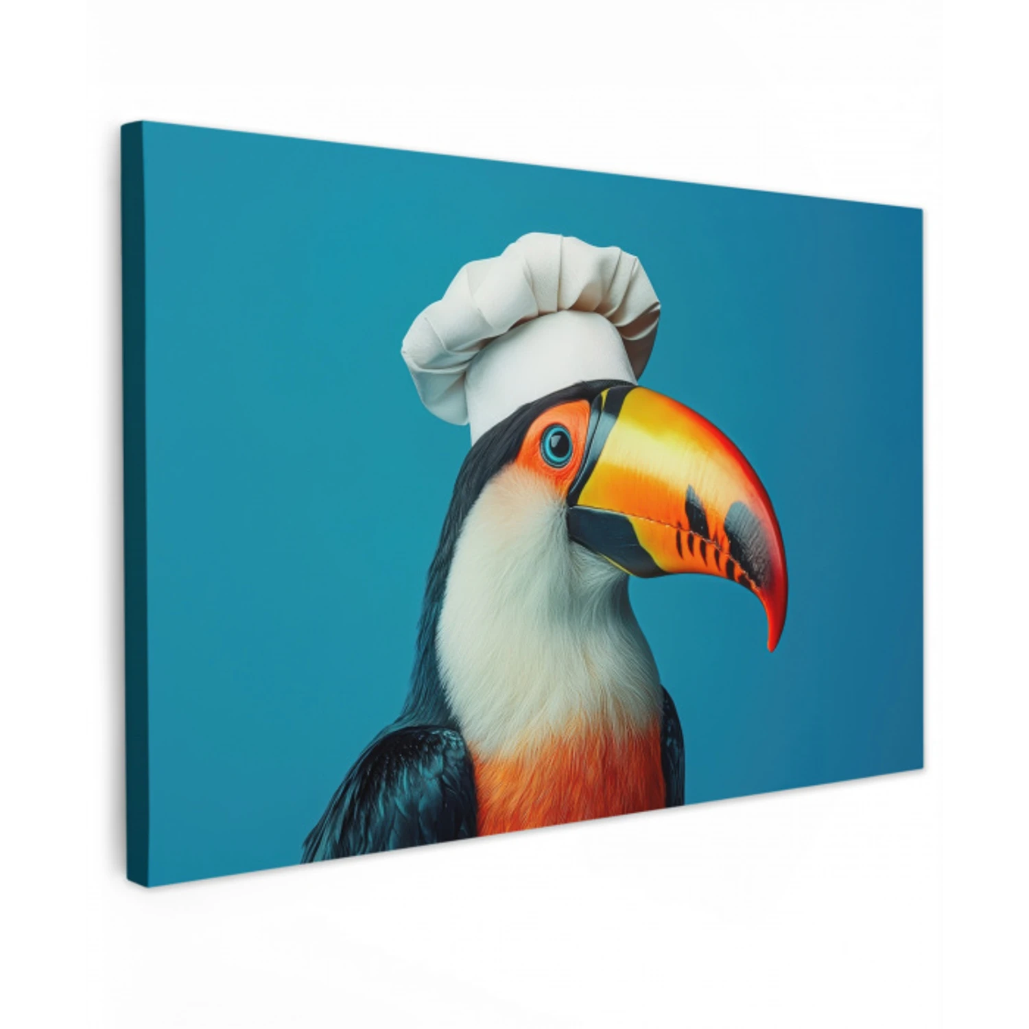 Toekan - Papegaai - Vogel - Koksmuts Tuinposter op houten frame 2 cm dik klein -3d