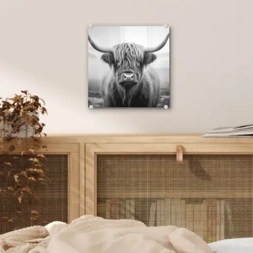 Schotse hooglander - Mist - Zwart - Wit plexiglas 5mm klein -sfeer4