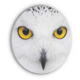 Sneeuwuil - Portret - Geel Akoestische PET Vilt - Rond klein -3d