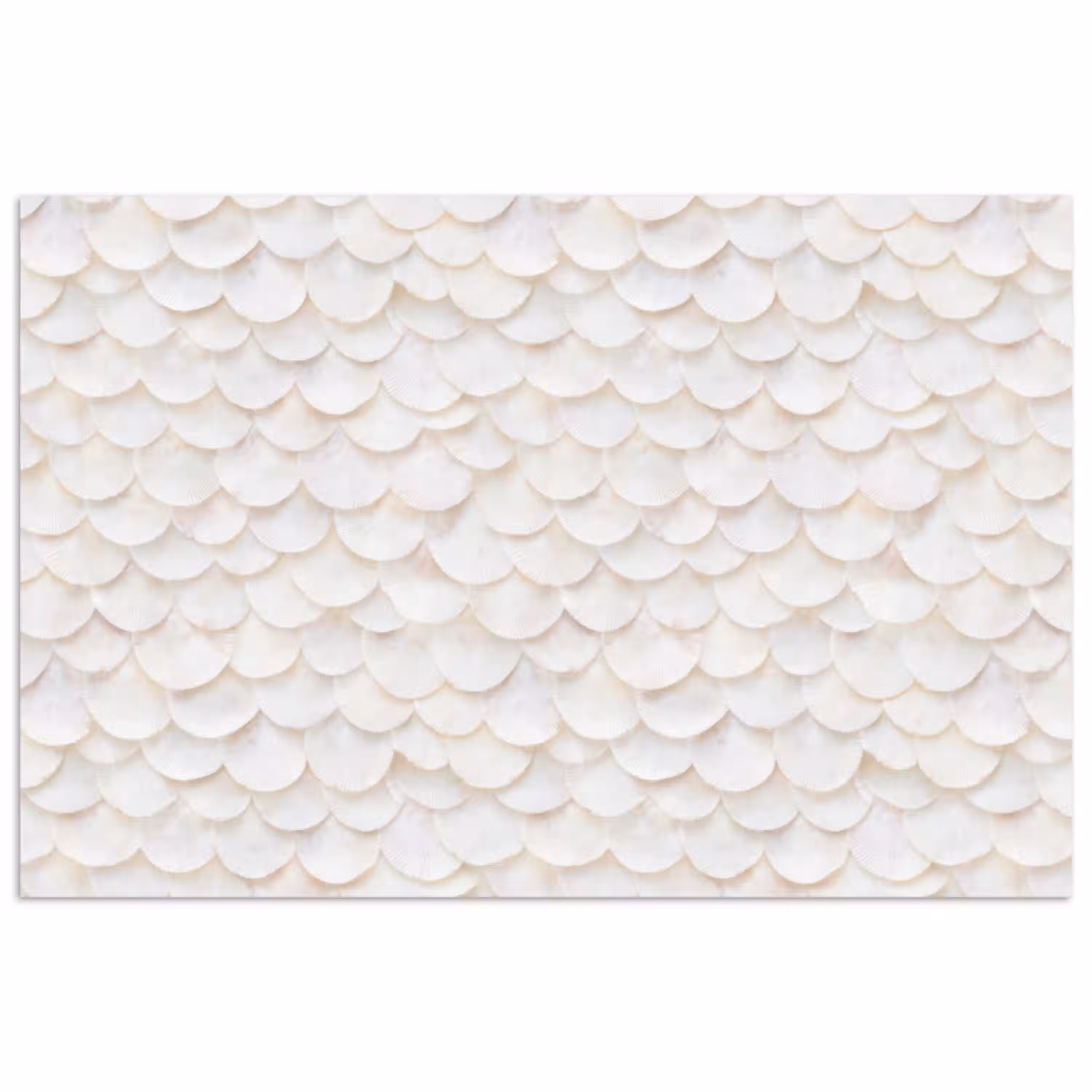 Schubben - Wit - Elegant poster papier klein 62 -3d
