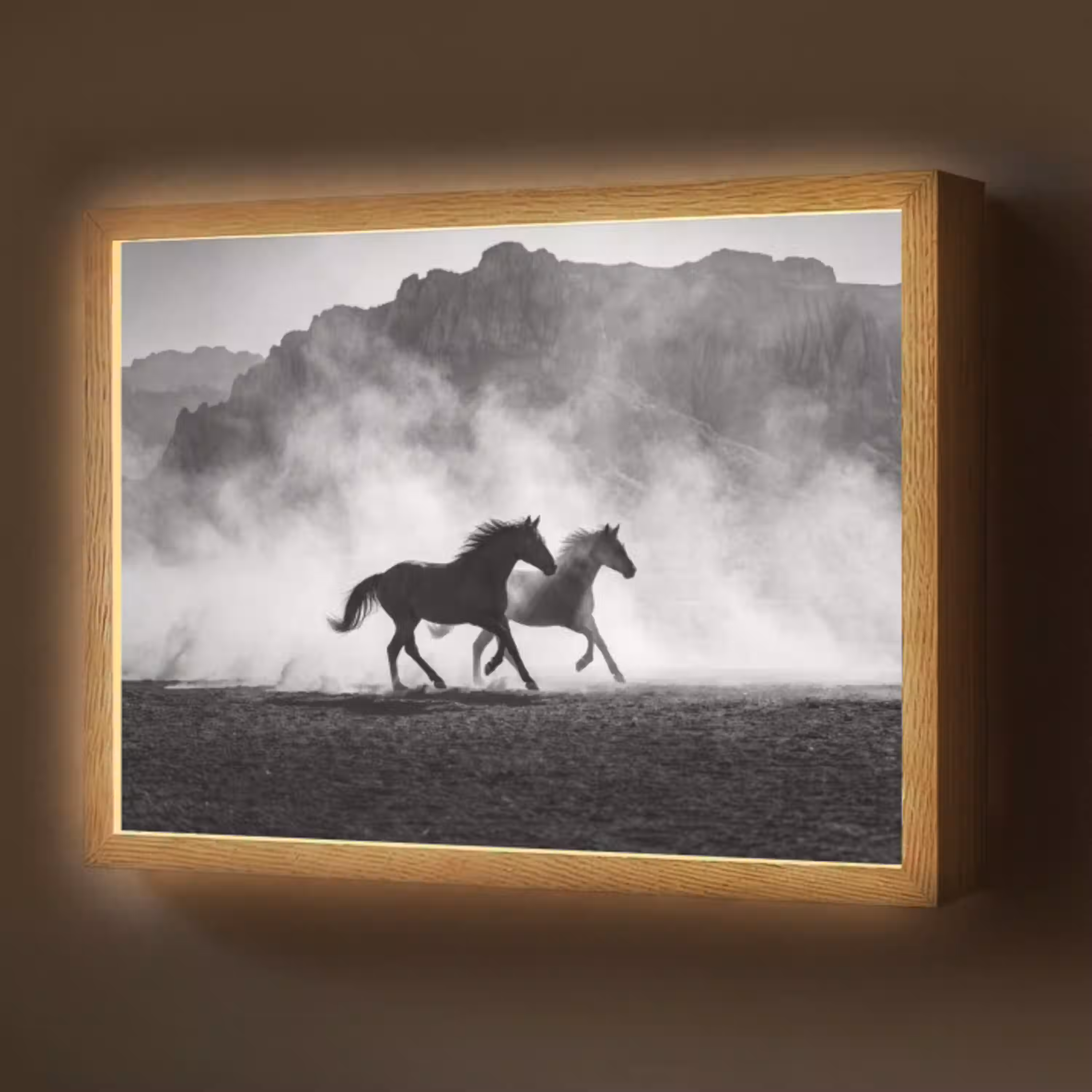 Paard - Ren - Stof - Zwart-wit - Dieren Light Box met batterij (Wandlamp) middel -z3d_website