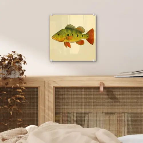 Schubben - Vis - Groen - Illustratie plexiglas 5mm klein -sfeer4