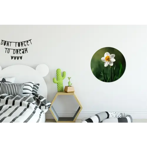 Narcis - Bloem - Wit - Grassprieten Wandcirkel aluminium klein -kinderkamer
