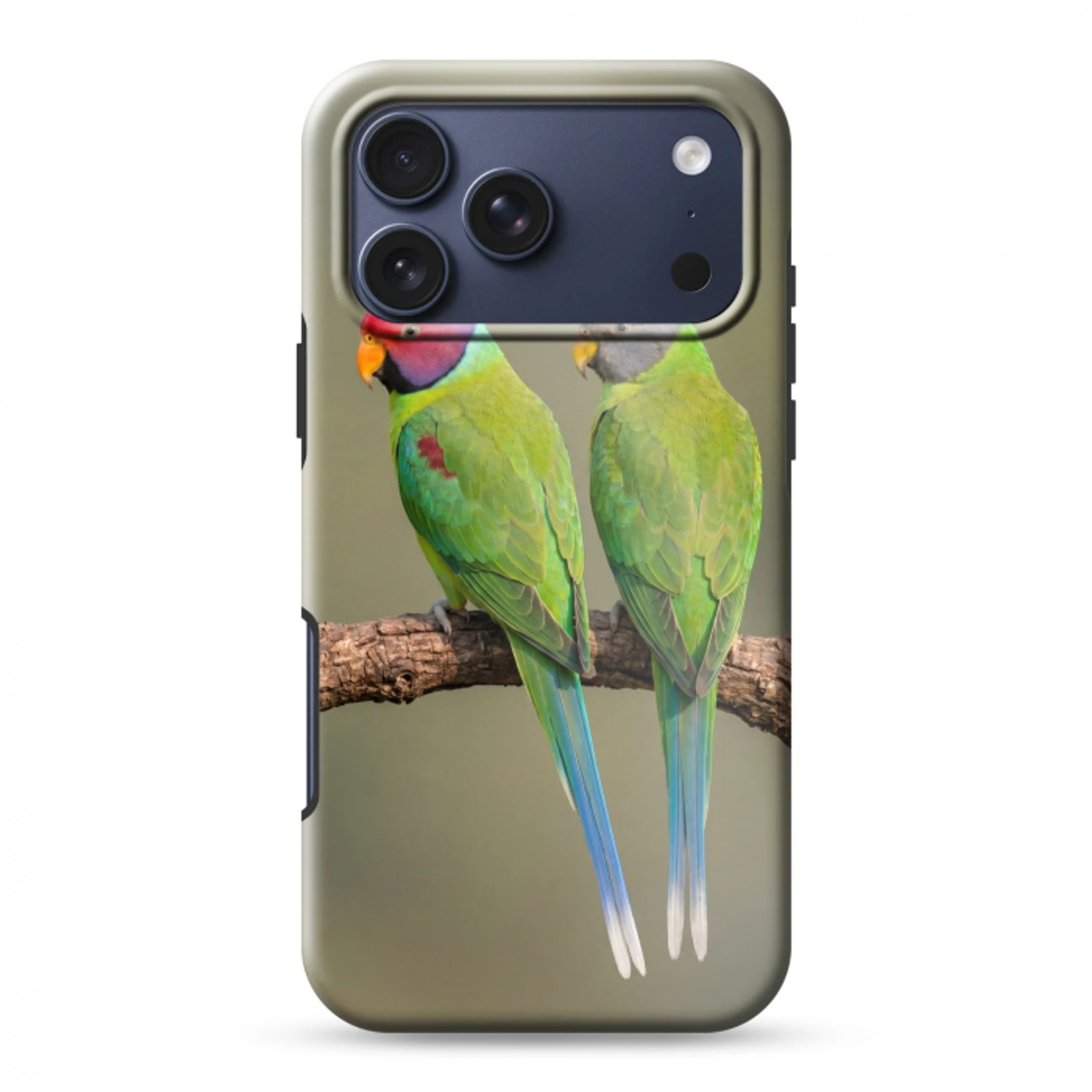 Papagaai - Tak - Natuur - Kleurrijk Toughcase MagSafe Apple iPhone 17 Pro Max klein -3d