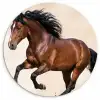 Paard - Galop - Energie Wandcirkel kunststof plaat 5mm dik klein -3d